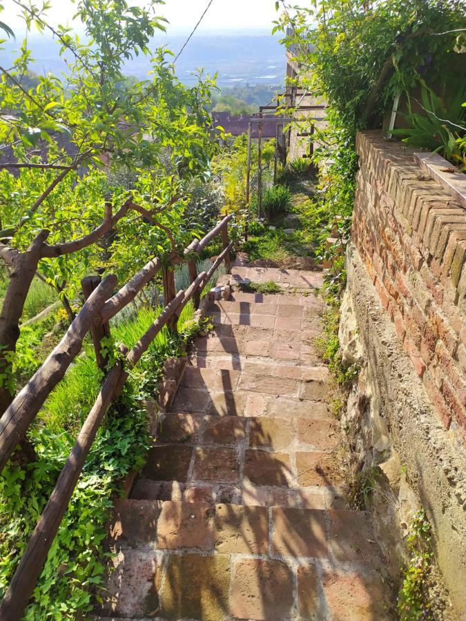 Casa Mantel Holiday Home Panoramic View In Langhe Novello Exteriör bild