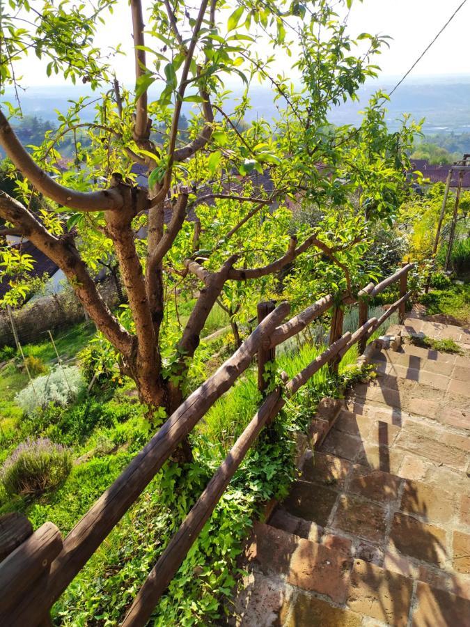 Casa Mantel Holiday Home Panoramic View In Langhe Novello Exteriör bild